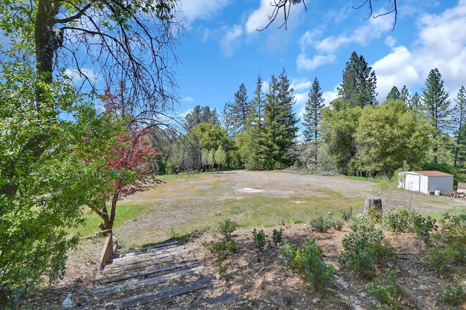 6968 Michel Road, Mountain Ranch, California 95246, ,Land,For Sale,Michel,202300556