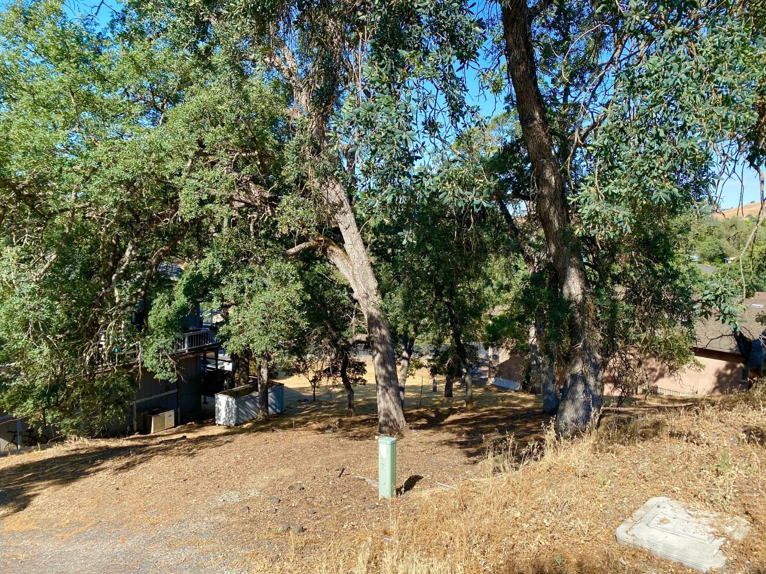 564 Dolores Way, Copperopolis, California 95228, ,Land,For Sale,Dolores,202300500