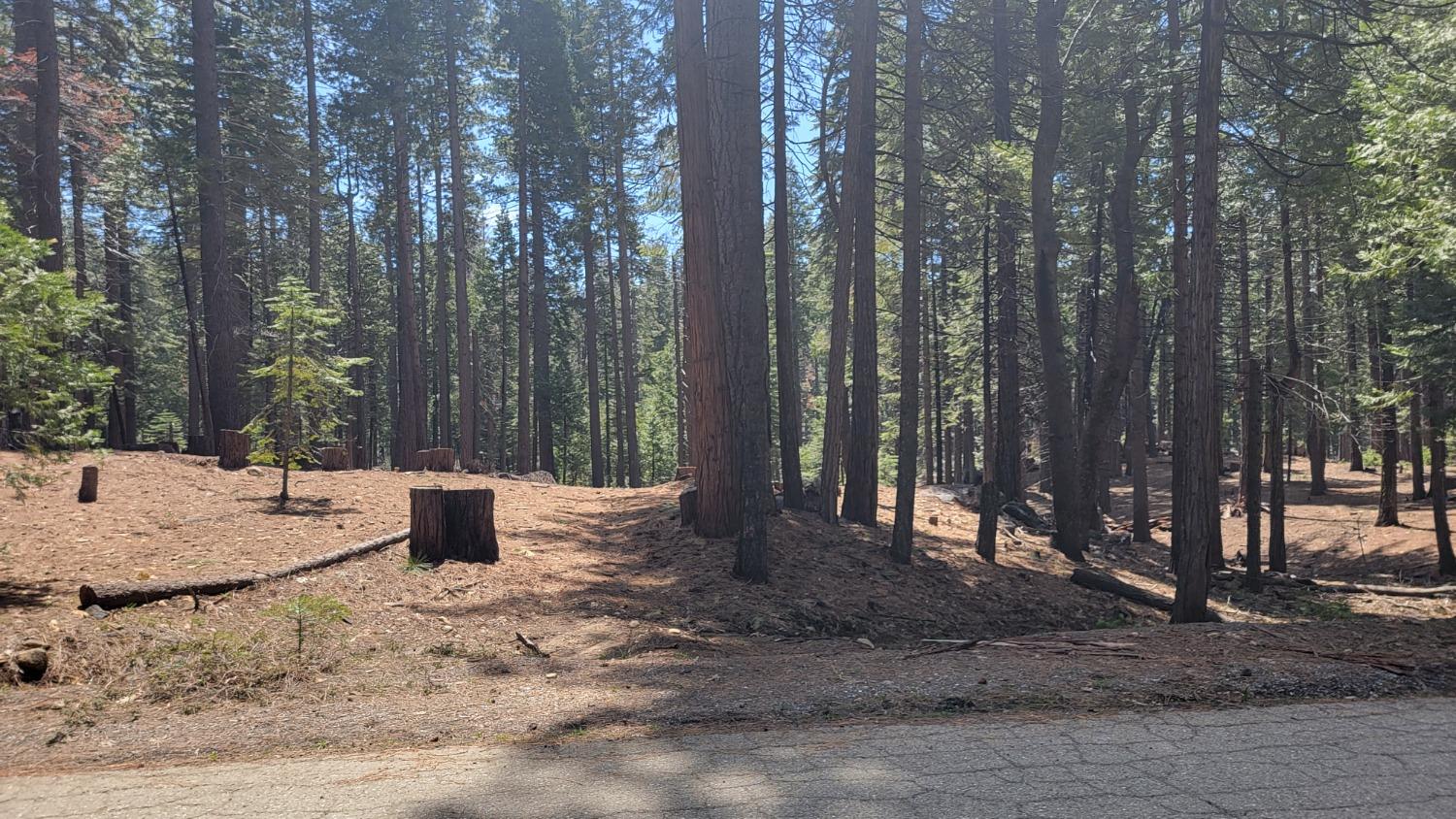 3043 Shoshone Drive, Camp Connell, California 95223, ,Land,For Sale,Shoshone,202300586