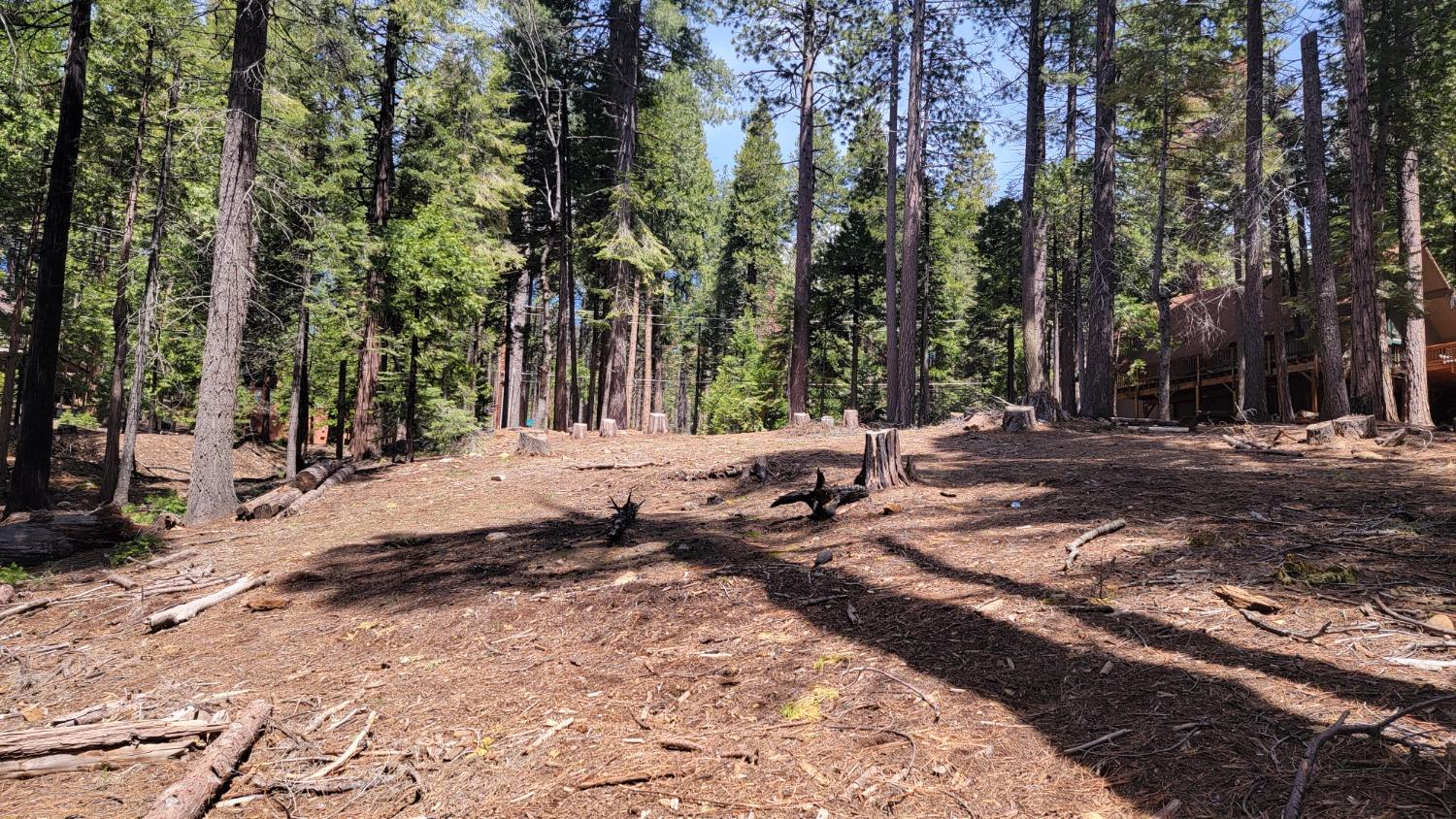 3043 Shoshone Drive, Camp Connell, California 95223, ,Land,For Sale,Shoshone,202300586