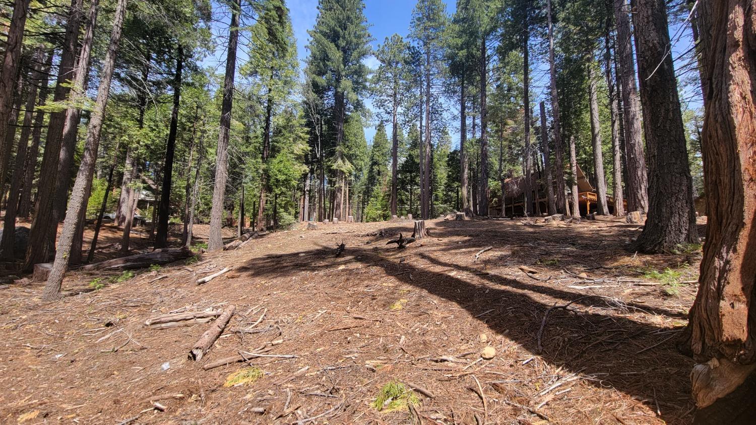 3043 Shoshone Drive, Camp Connell, California 95223, ,Land,For Sale,Shoshone,202300586