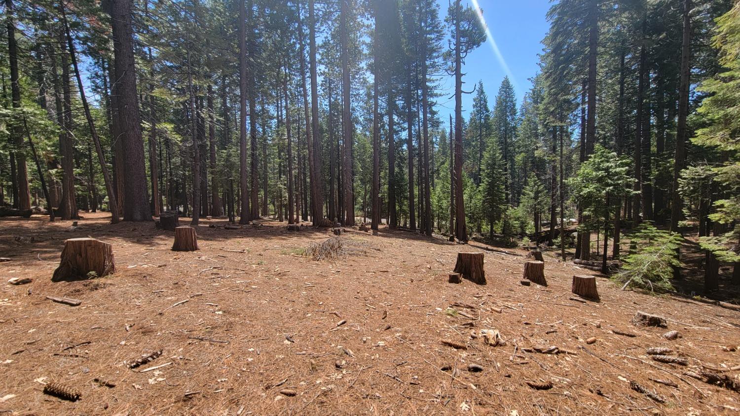 3043 Shoshone Drive, Camp Connell, California 95223, ,Land,For Sale,Shoshone,202300586