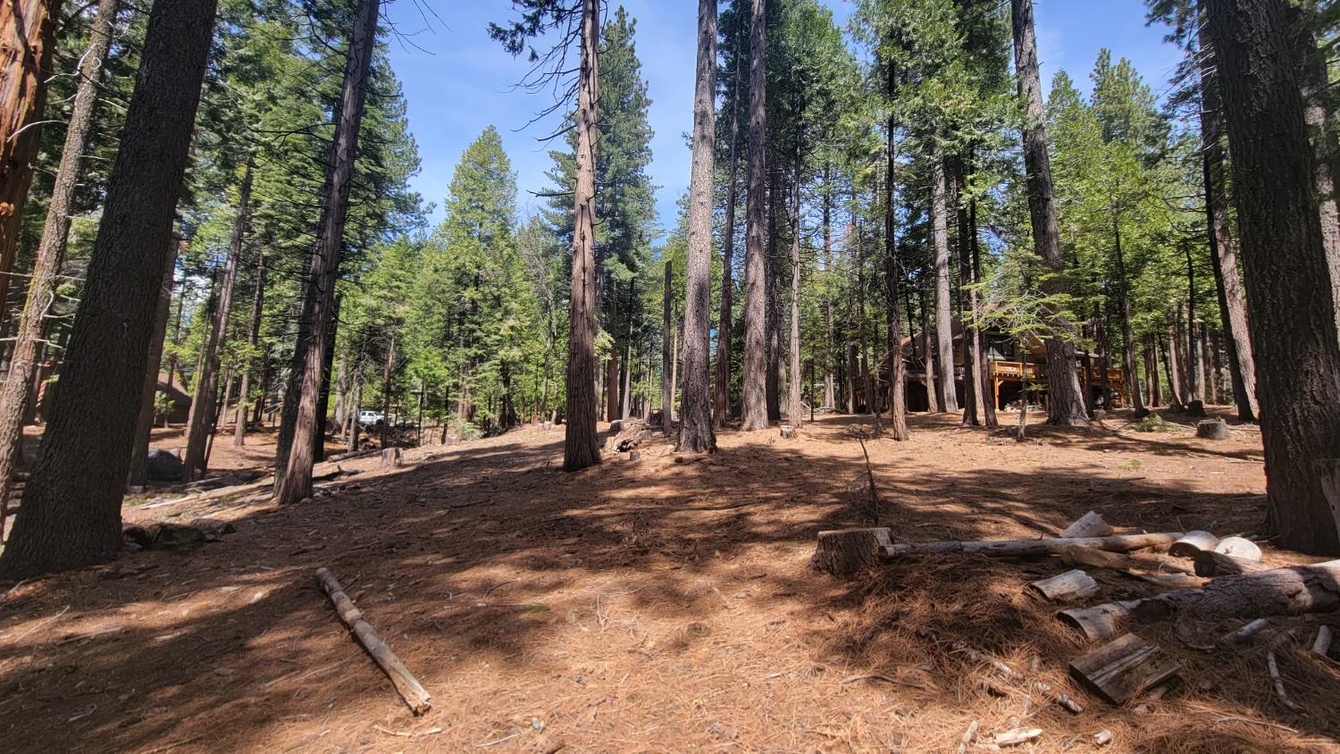 3043 Shoshone Drive, Camp Connell, California 95223, ,Land,For Sale,Shoshone,202300586