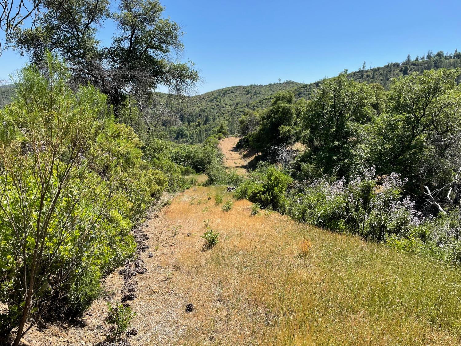 8954 Cave City Road, Mountain Ranch, California 95246, ,Land,For Sale,Cave City,202300615