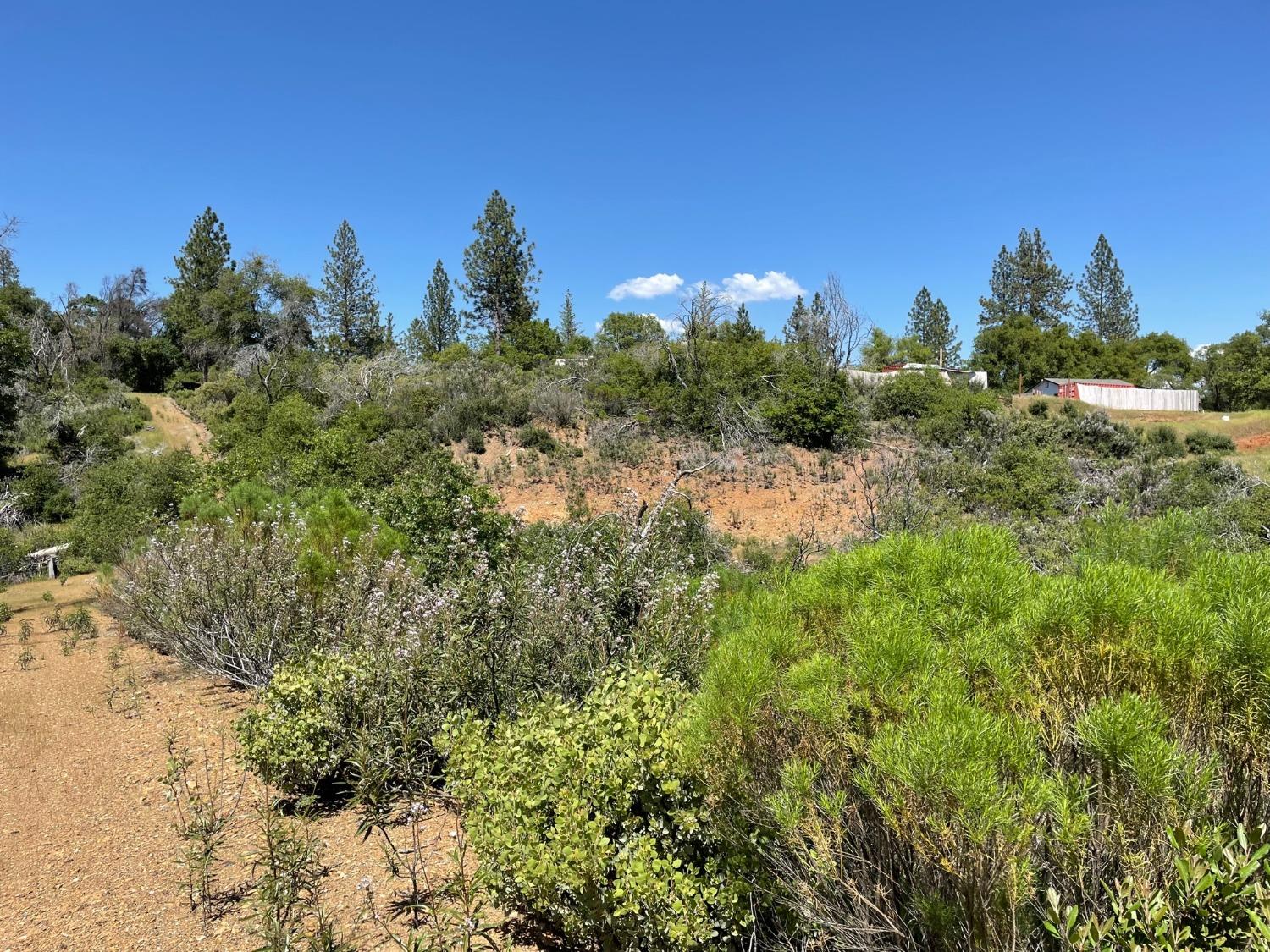 8954 Cave City Road, Mountain Ranch, California 95246, ,Land,For Sale,Cave City,202300615