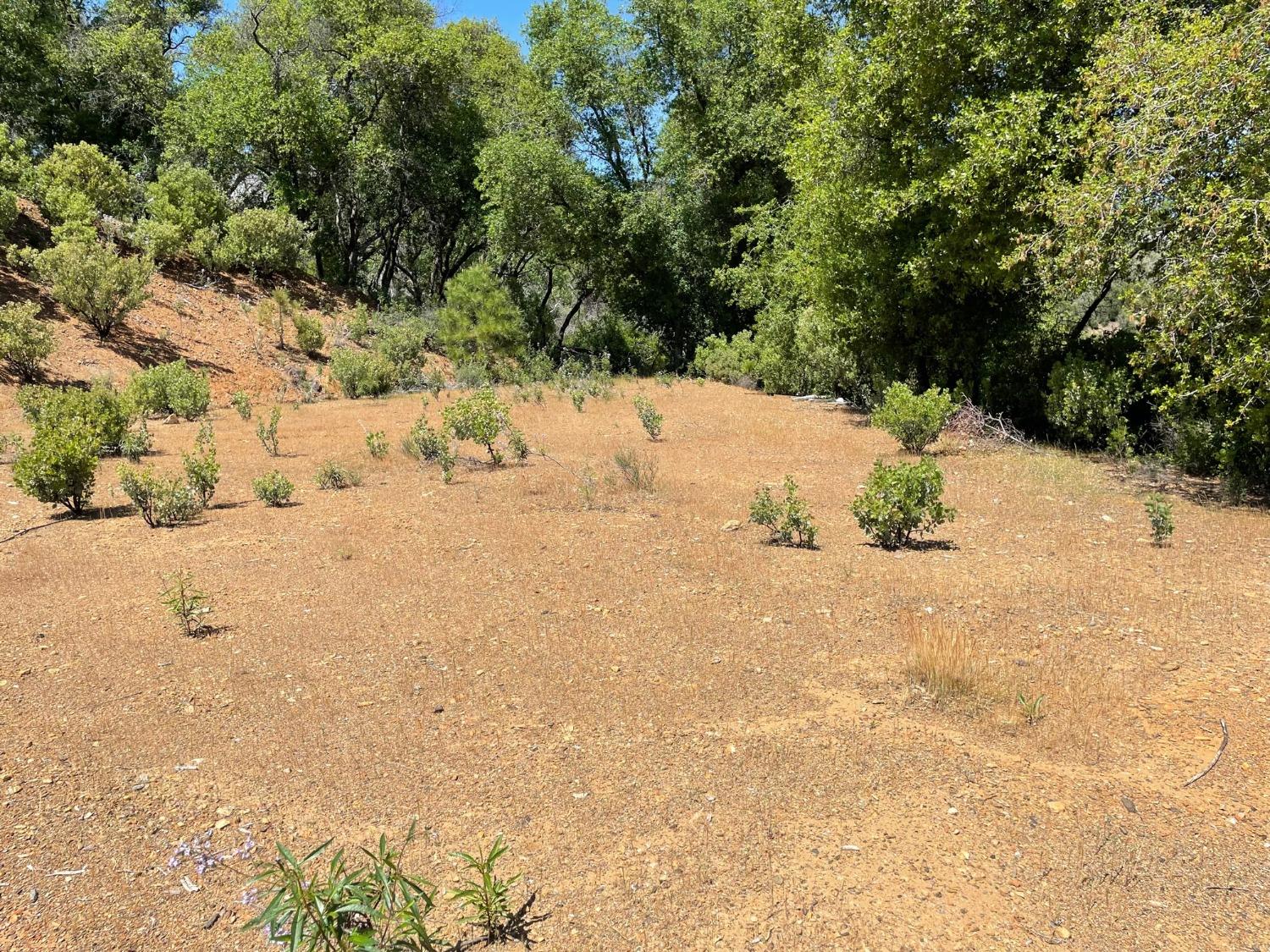 8954 Cave City Road, Mountain Ranch, California 95246, ,Land,For Sale,Cave City,202300615