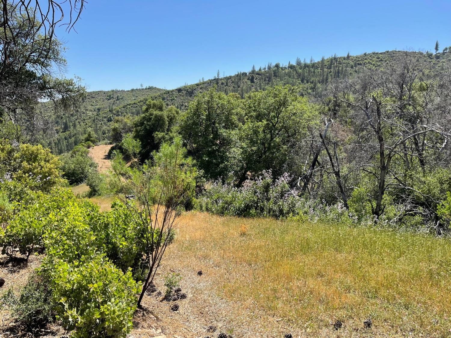 8954 Cave City Road, Mountain Ranch, California 95246, ,Land,For Sale,Cave City,202300615