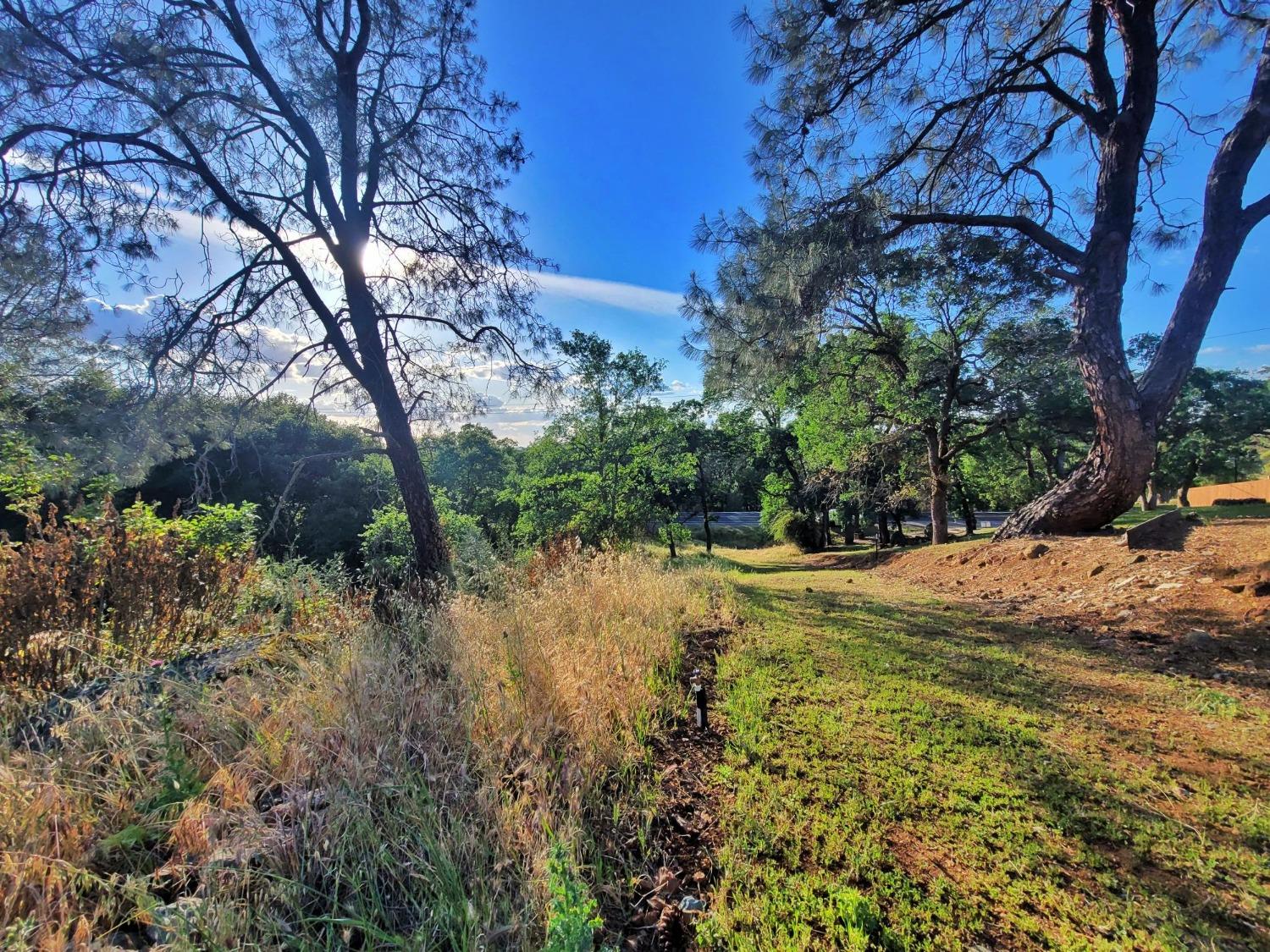 6151 Baldwin, Valley Springs, California 95252, ,Land,For Sale,Baldwin,202300623