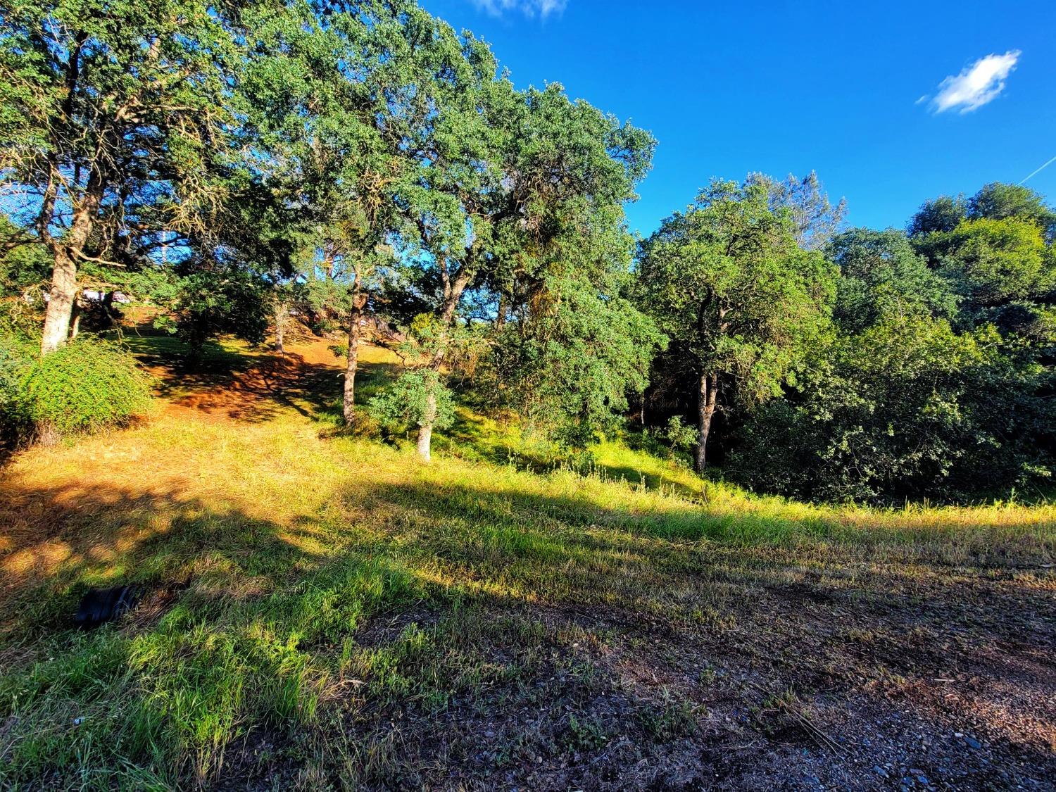 6151 Baldwin, Valley Springs, California 95252, ,Land,For Sale,Baldwin,202300623