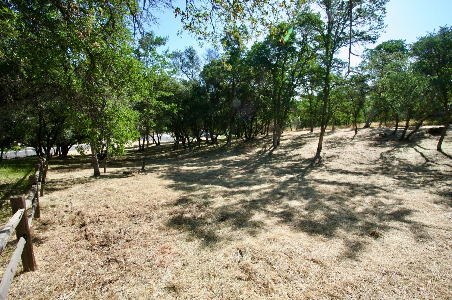 354 Mill Road, Angels Camp, California 95222, ,Land,For Sale,Mill,202300667