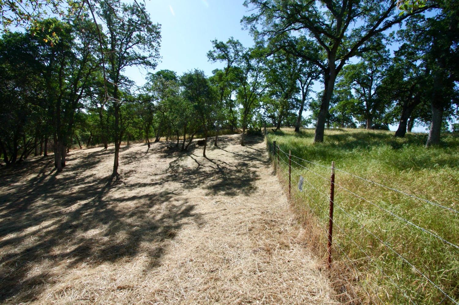 354 Mill Road, Angels Camp, California 95222, ,Land,For Sale,Mill,202300667