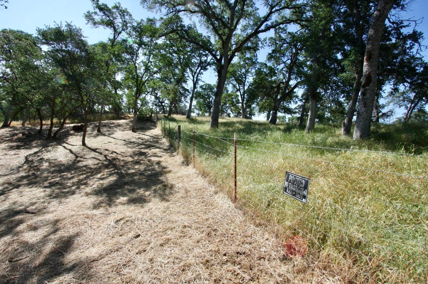 354 Mill Road, Angels Camp, California 95222, ,Land,For Sale,Mill,202300667