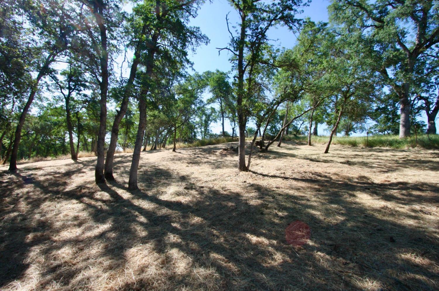 354 Mill Road, Angels Camp, California 95222, ,Land,For Sale,Mill,202300667