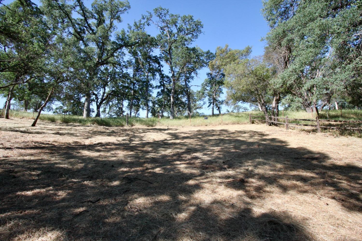 354 Mill Road, Angels Camp, California 95222, ,Land,For Sale,Mill,202300667