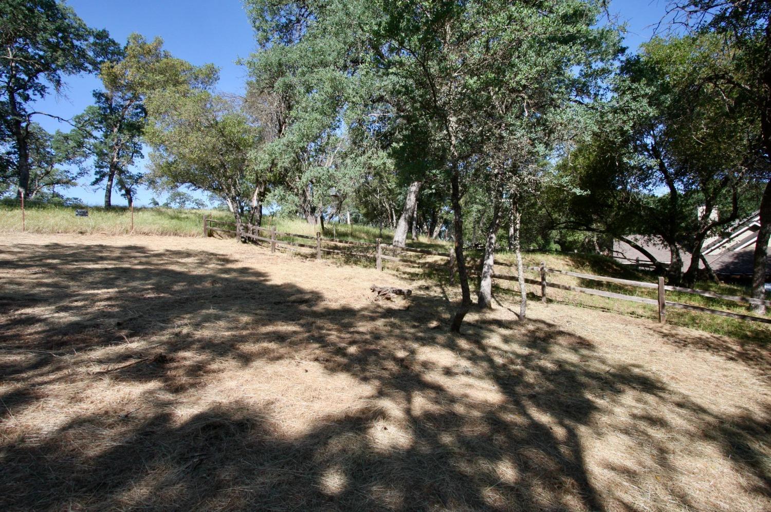 354 Mill Road, Angels Camp, California 95222, ,Land,For Sale,Mill,202300667