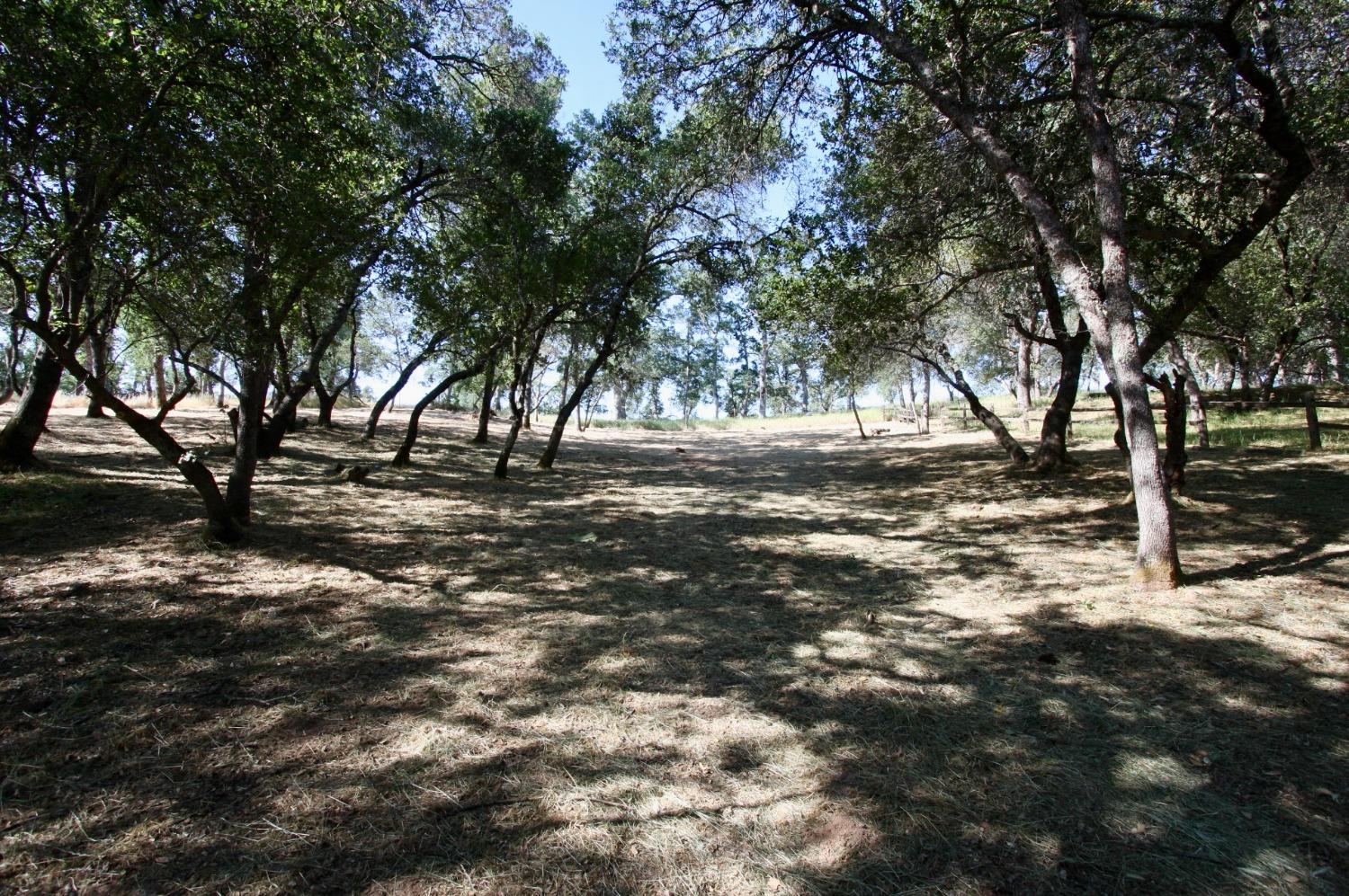 354 Mill Road, Angels Camp, California 95222, ,Land,For Sale,Mill,202300667