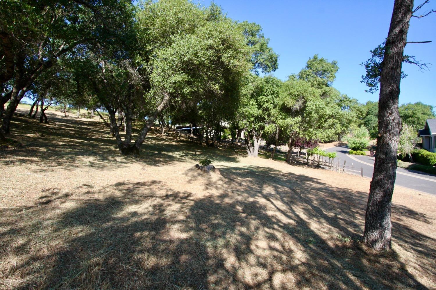 354 Mill Road, Angels Camp, California 95222, ,Land,For Sale,Mill,202300667