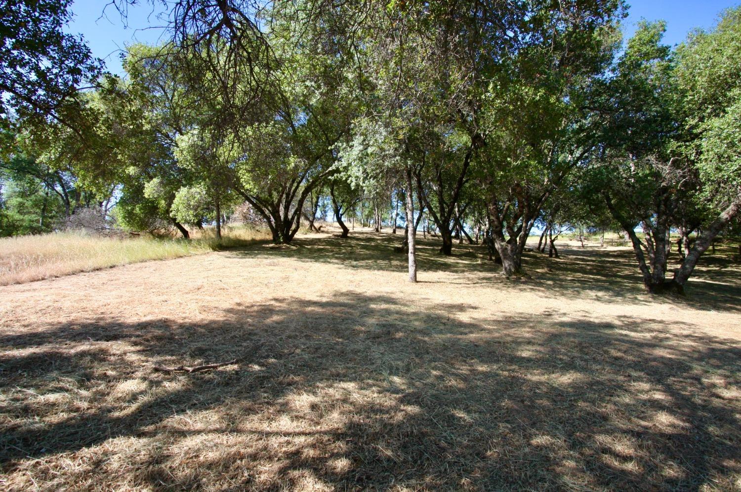 354 Mill Road, Angels Camp, California 95222, ,Land,For Sale,Mill,202300667