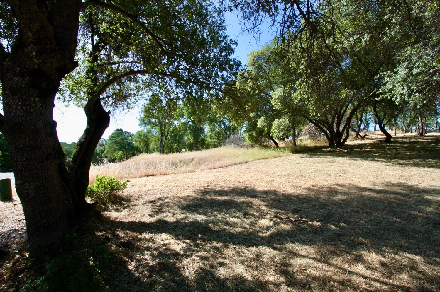 354 Mill Road, Angels Camp, California 95222, ,Land,For Sale,Mill,202300667