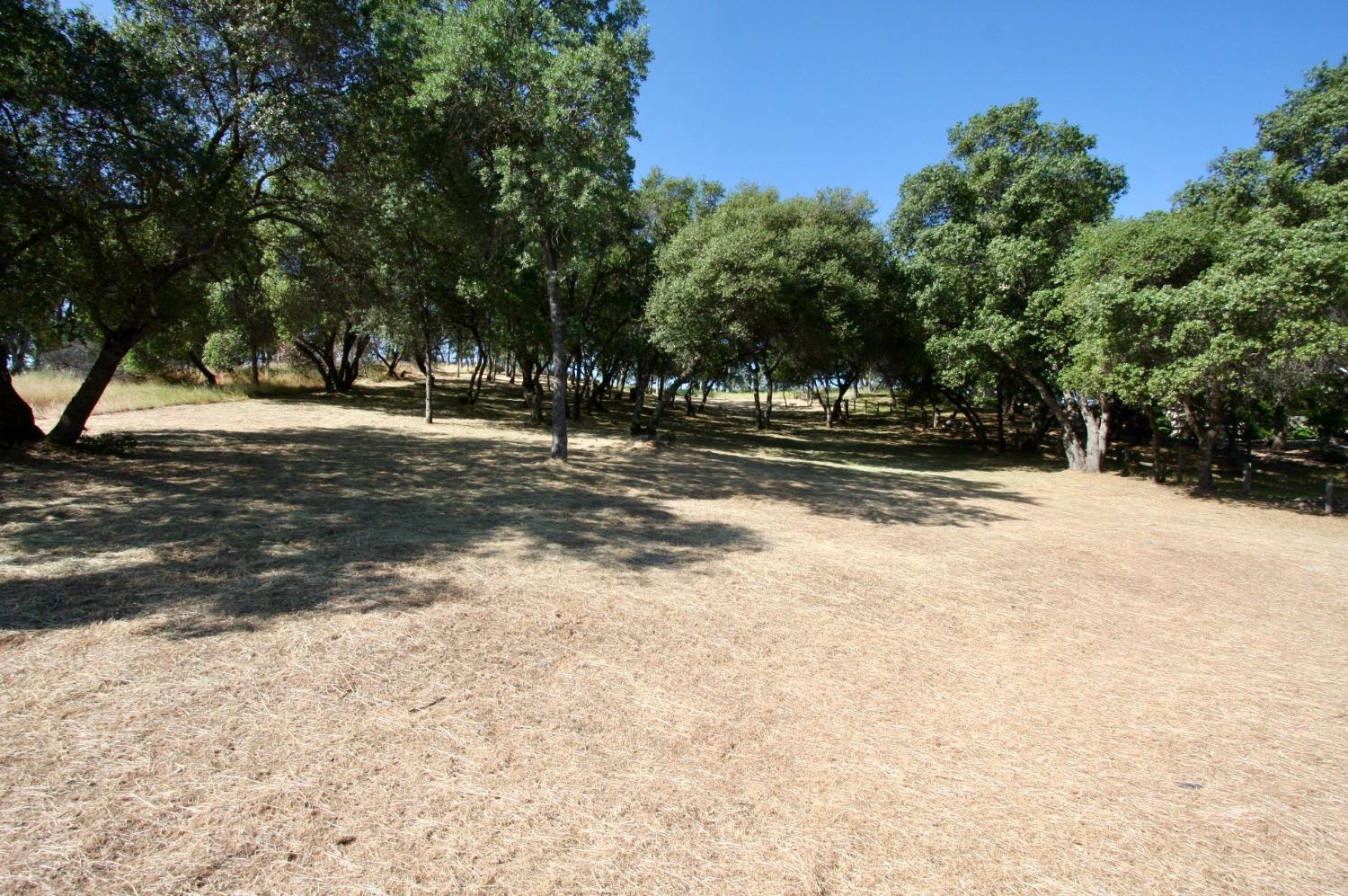 354 Mill Road, Angels Camp, California 95222, ,Land,For Sale,Mill,202300667