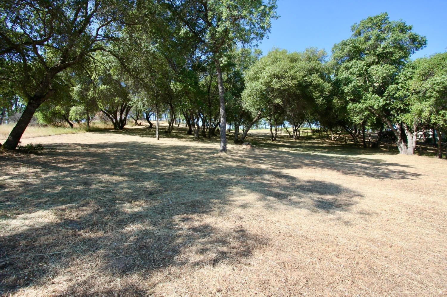 354 Mill Road, Angels Camp, California 95222, ,Land,For Sale,Mill,202300667