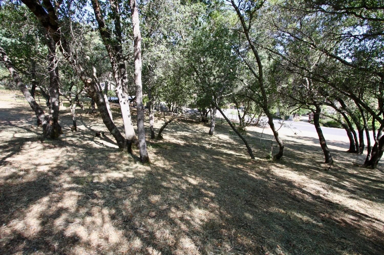 354 Mill Road, Angels Camp, California 95222, ,Land,For Sale,Mill,202300667