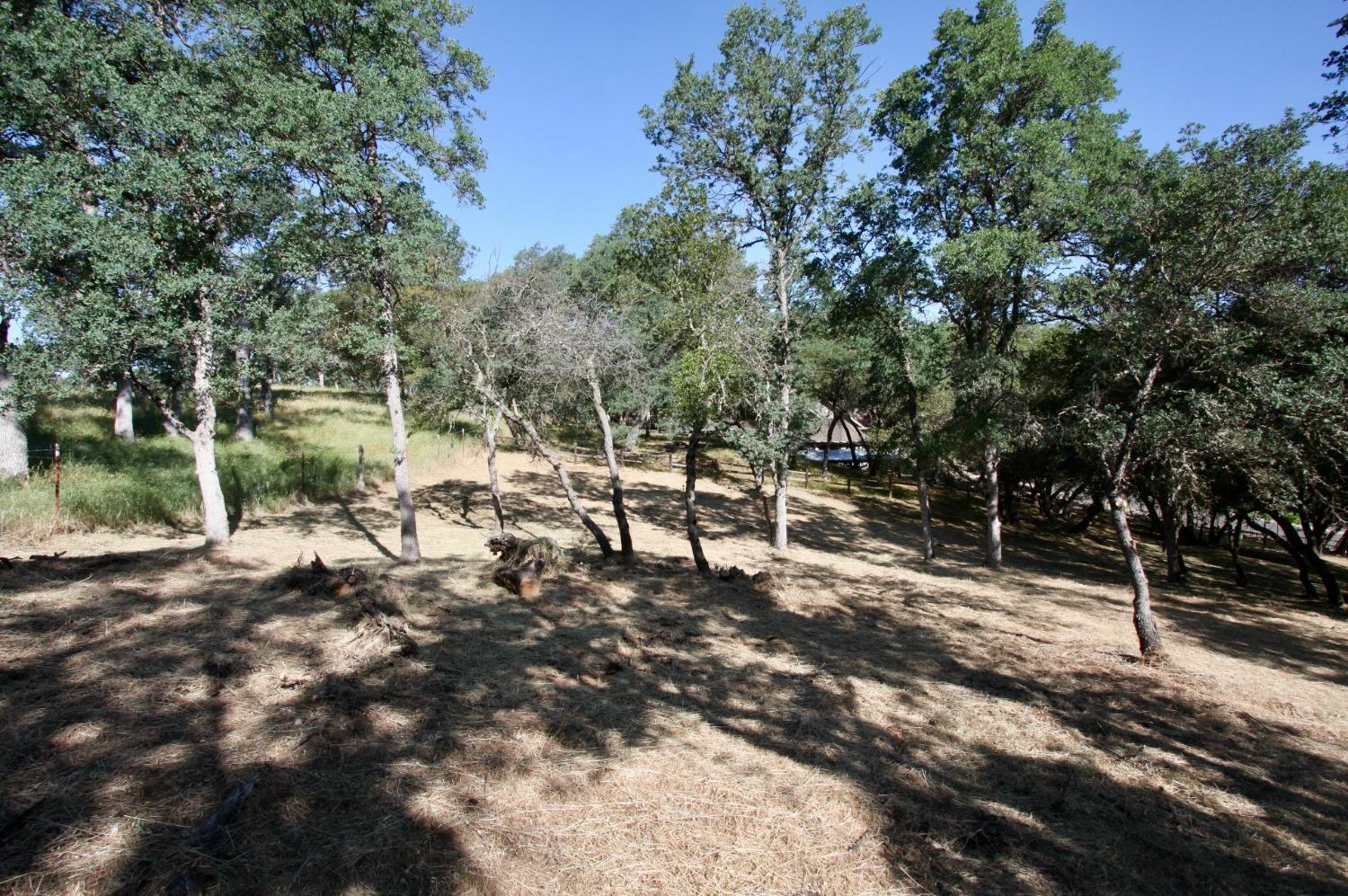 354 Mill Road, Angels Camp, California 95222, ,Land,For Sale,Mill,202300667