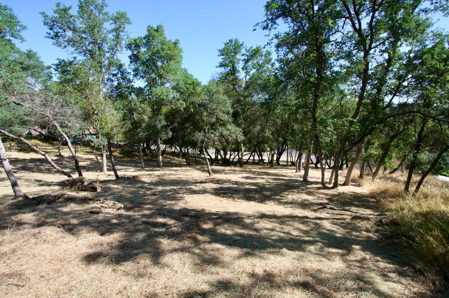 354 Mill Road, Angels Camp, California 95222, ,Land,For Sale,Mill,202300667