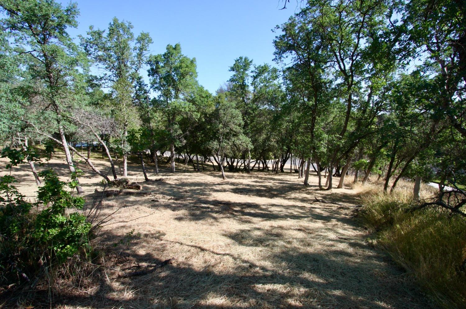 354 Mill Road, Angels Camp, California 95222, ,Land,For Sale,Mill,202300667