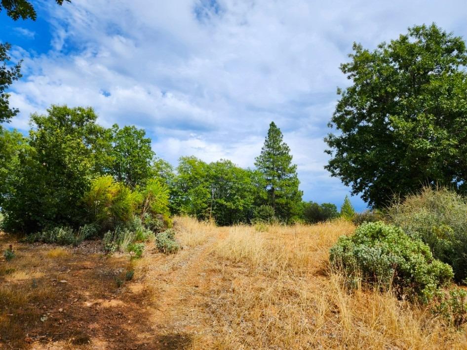 0 Independence Cemetery, Railroad Flat, California 95248, ,Land,For Sale,Independence Cemetery,202300650