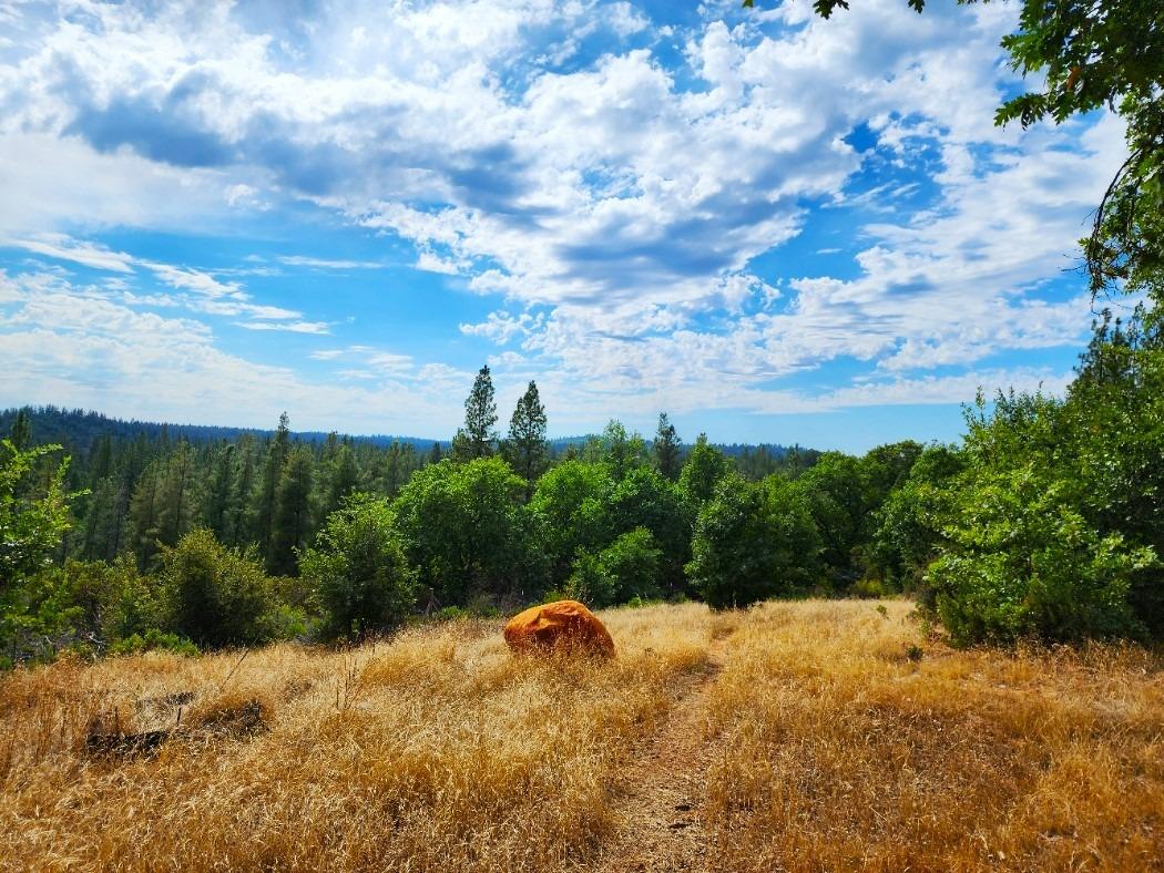 0 Independence Cemetery, Railroad Flat, California 95248, ,Land,For Sale,Independence Cemetery,202300650