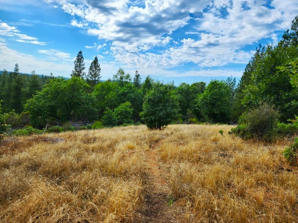 0 Independence Cemetery, Railroad Flat, California 95248, ,Land,For Sale,Independence Cemetery,202300650