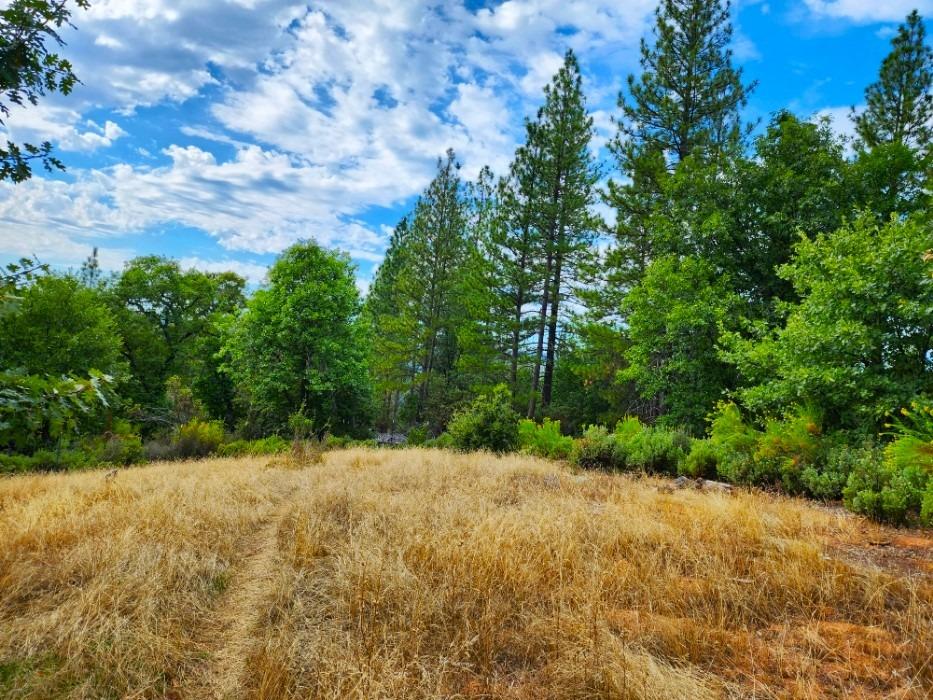 0 Independence Cemetery, Railroad Flat, California 95248, ,Land,For Sale,Independence Cemetery,202300650