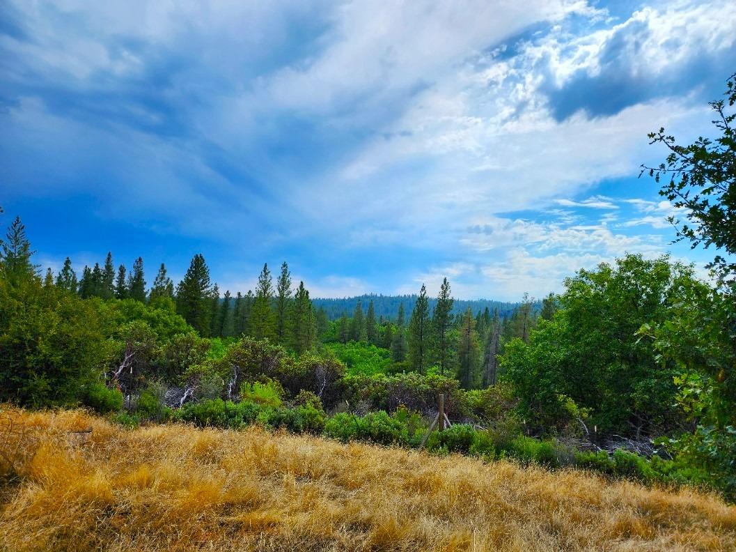 0 Independence Cemetery, Railroad Flat, California 95248, ,Land,For Sale,Independence Cemetery,202300650