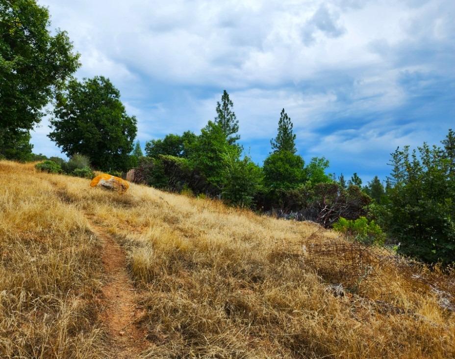 0 Independence Cemetery, Railroad Flat, California 95248, ,Land,For Sale,Independence Cemetery,202300650