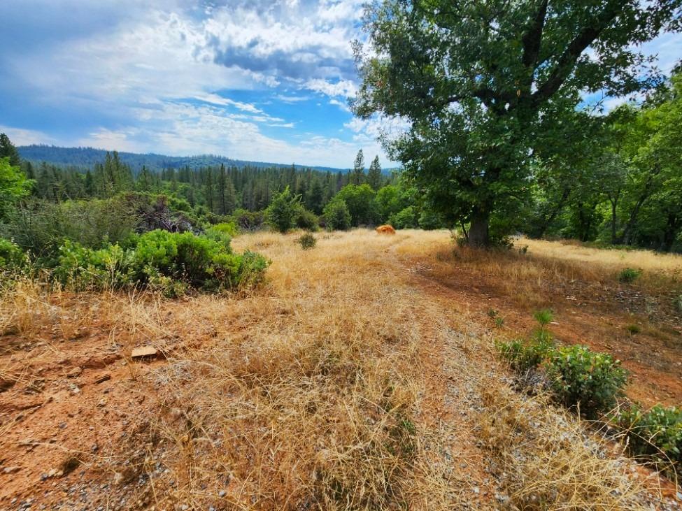 0 Independence Cemetery, Railroad Flat, California 95248, ,Land,For Sale,Independence Cemetery,202300650