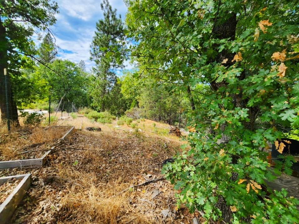 0 Independence Cemetery, Railroad Flat, California 95248, ,Land,For Sale,Independence Cemetery,202300650