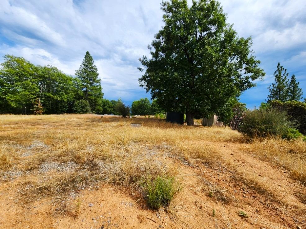 0 Independence Cemetery, Railroad Flat, California 95248, ,Land,For Sale,Independence Cemetery,202300650