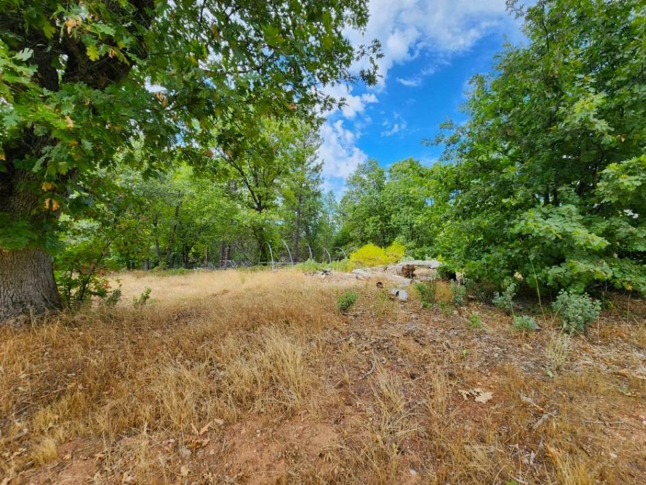 0 Independence Cemetery, Railroad Flat, California 95248, ,Land,For Sale,Independence Cemetery,202300650