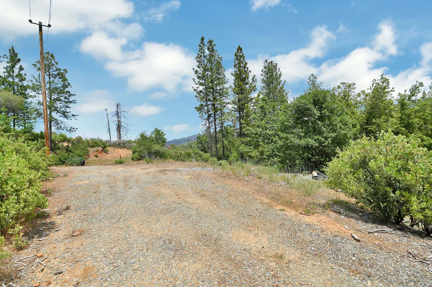 0 Fricot City Rd, Sheep Ranch, California 95246, ,Land,For Sale,Fricot City Rd,202300687