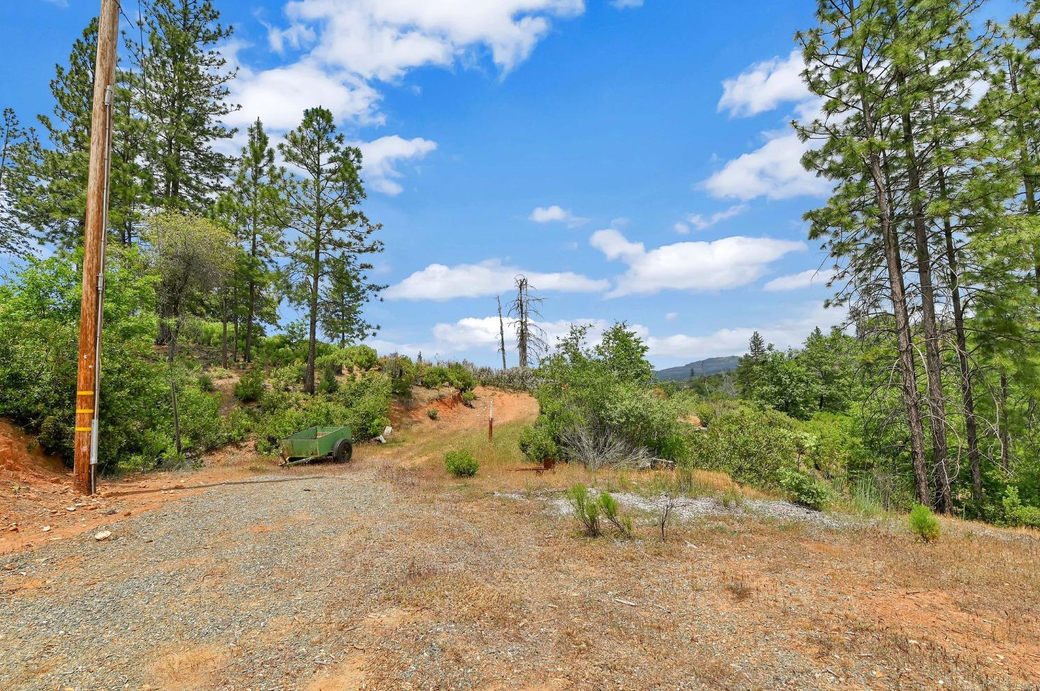 0 Fricot City Rd, Sheep Ranch, California 95246, ,Land,For Sale,Fricot City Rd,202300687