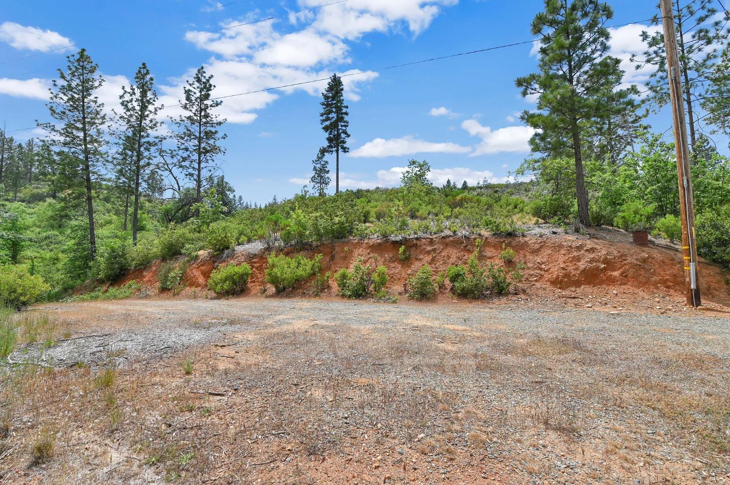 0 Fricot City Rd, Sheep Ranch, California 95246, ,Land,For Sale,Fricot City Rd,202300687