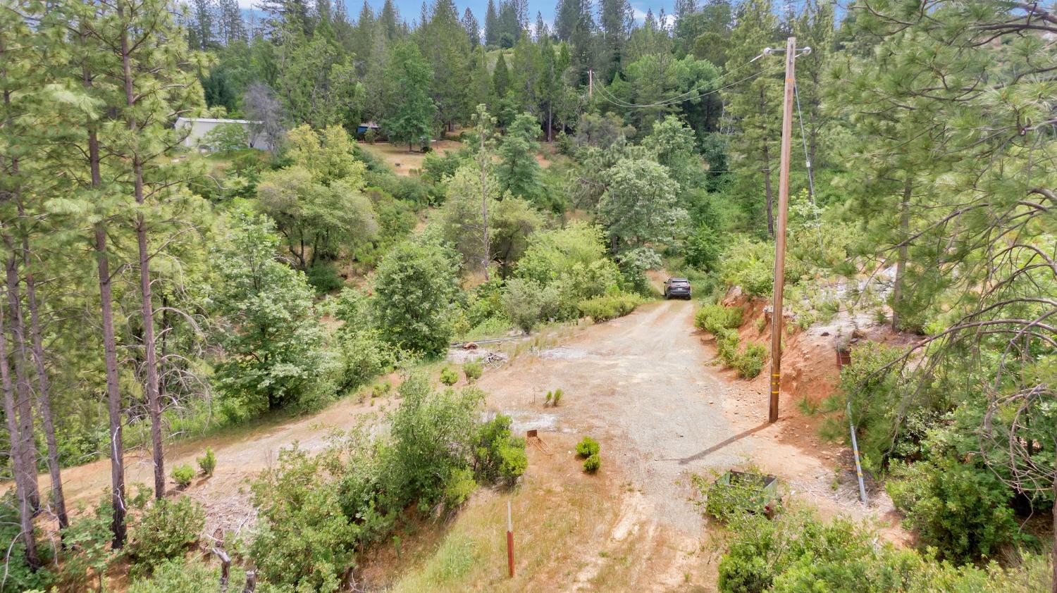 0 Fricot City Rd, Sheep Ranch, California 95246, ,Land,For Sale,Fricot City Rd,202300687