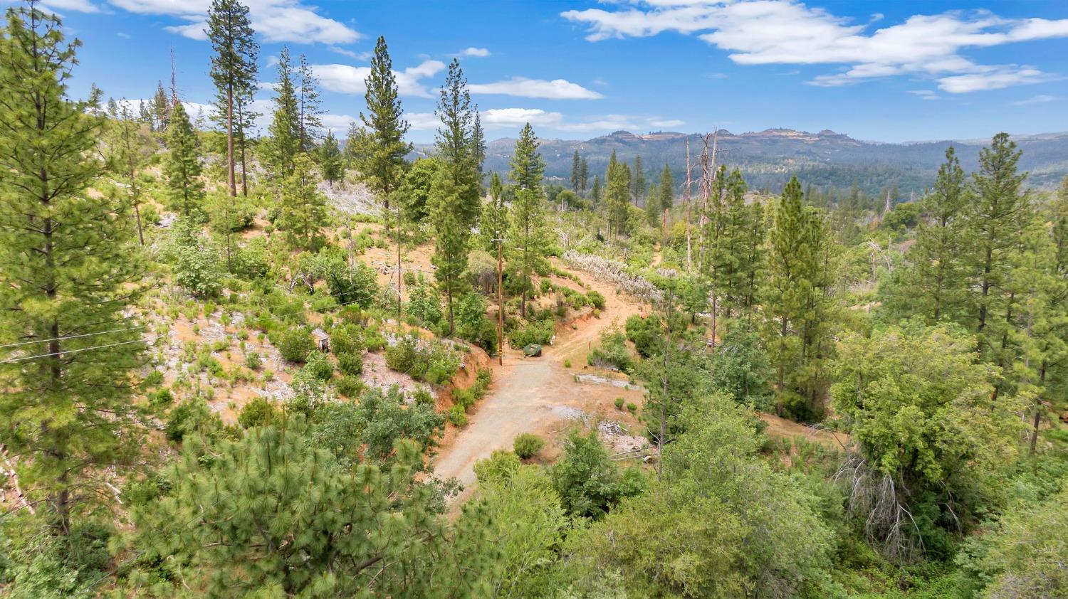 0 Fricot City Rd, Sheep Ranch, California 95246, ,Land,For Sale,Fricot City Rd,202300687