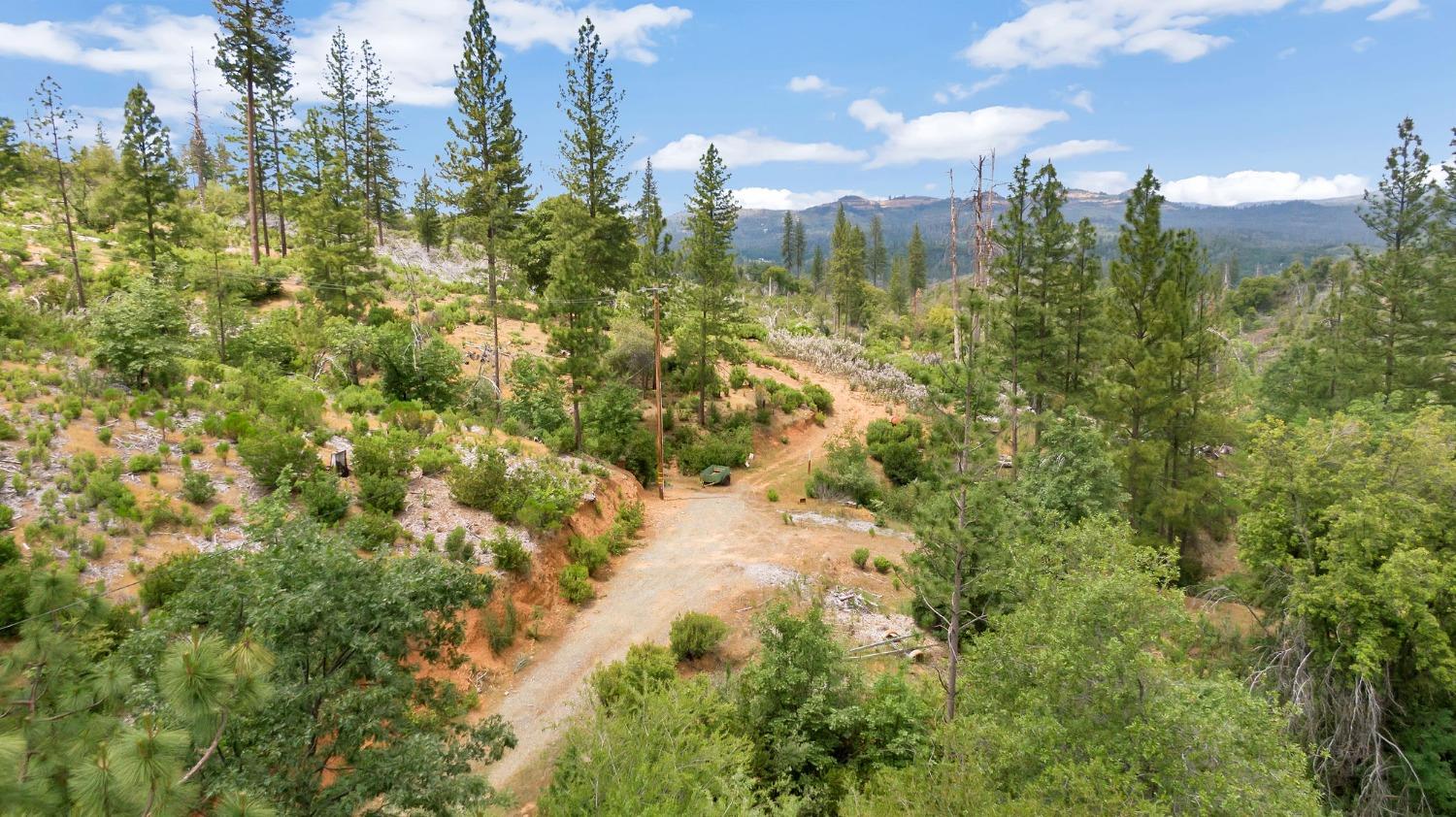 0 Fricot City Rd, Sheep Ranch, California 95246, ,Land,For Sale,Fricot City Rd,202300687