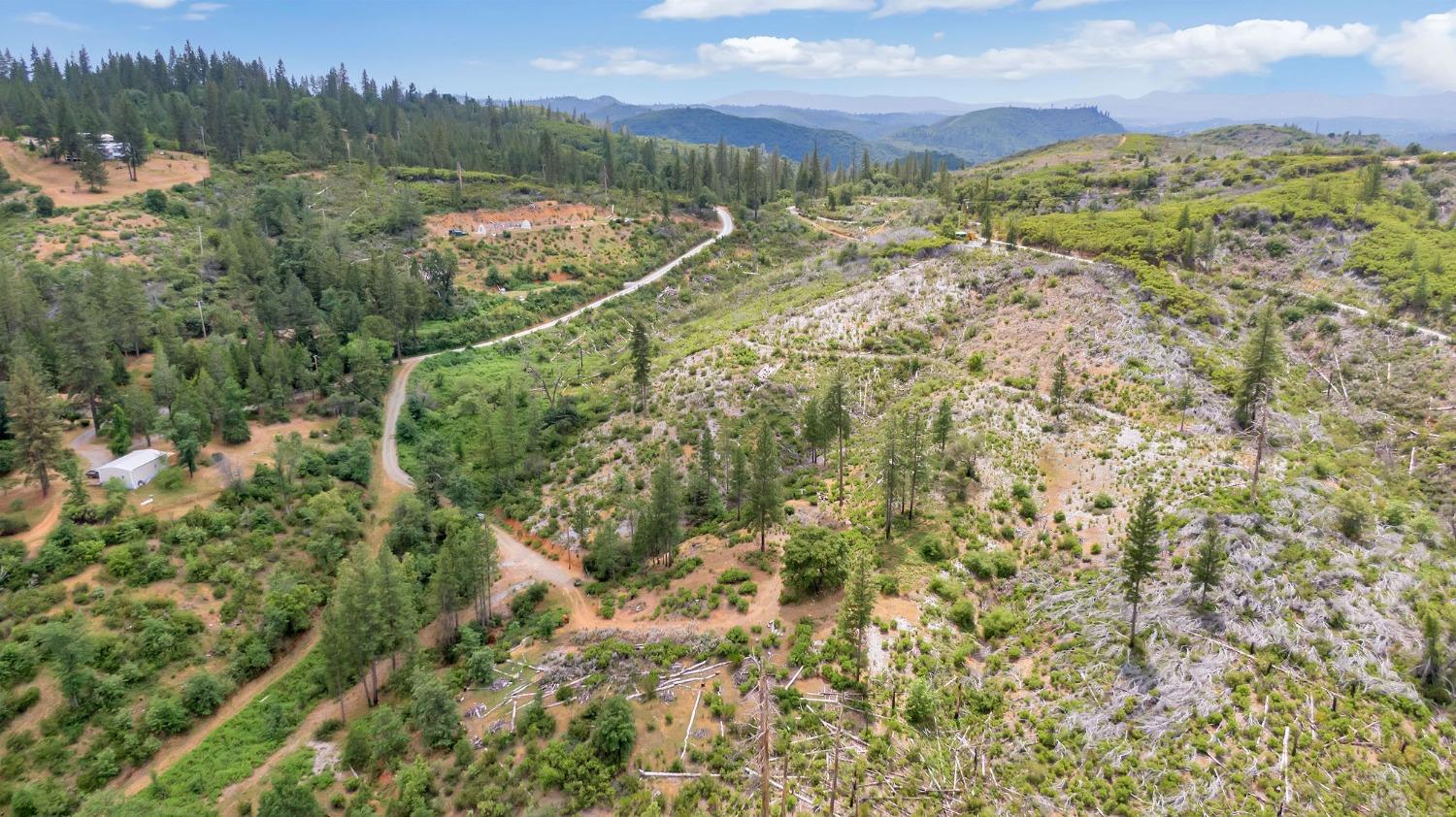 0 Fricot City Rd, Sheep Ranch, California 95246, ,Land,For Sale,Fricot City Rd,202300687