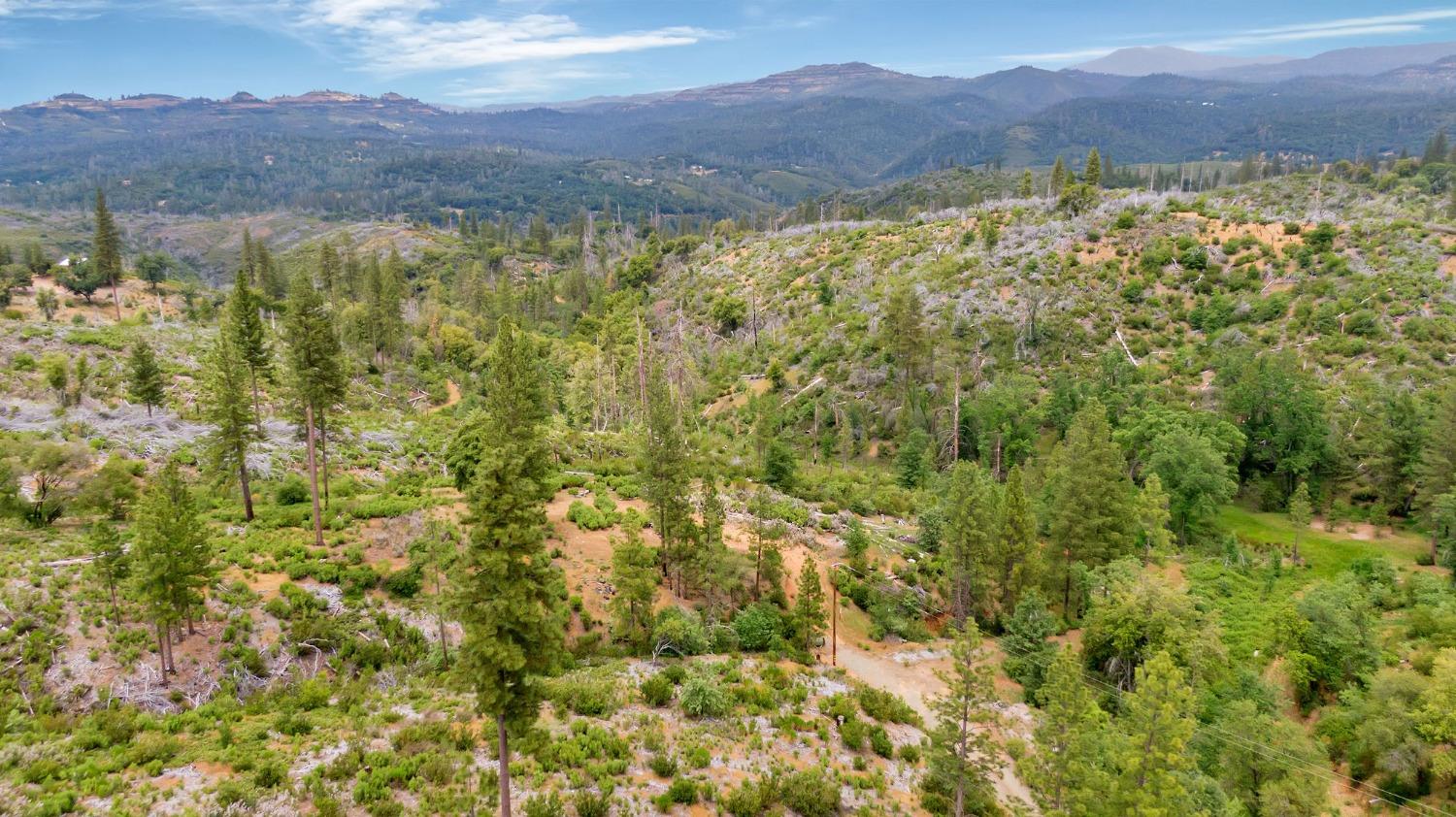 0 Fricot City Rd, Sheep Ranch, California 95246, ,Land,For Sale,Fricot City Rd,202300687