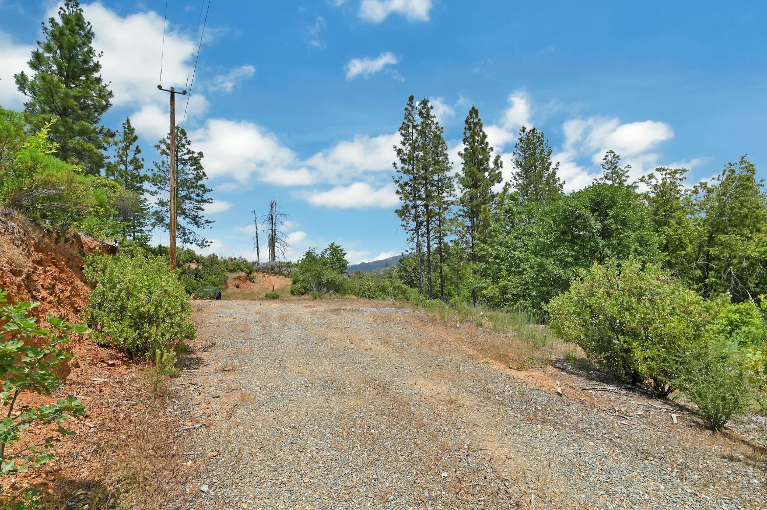 0 Fricot City Rd, Sheep Ranch, California 95246, ,Land,For Sale,Fricot City Rd,202300687