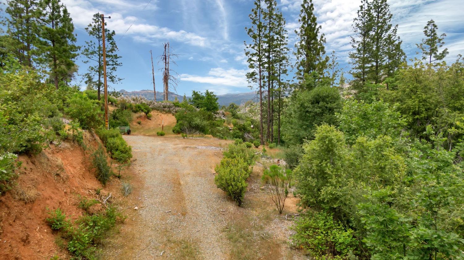 0 Fricot City Rd, Sheep Ranch, California 95246, ,Land,For Sale,Fricot City Rd,202300687