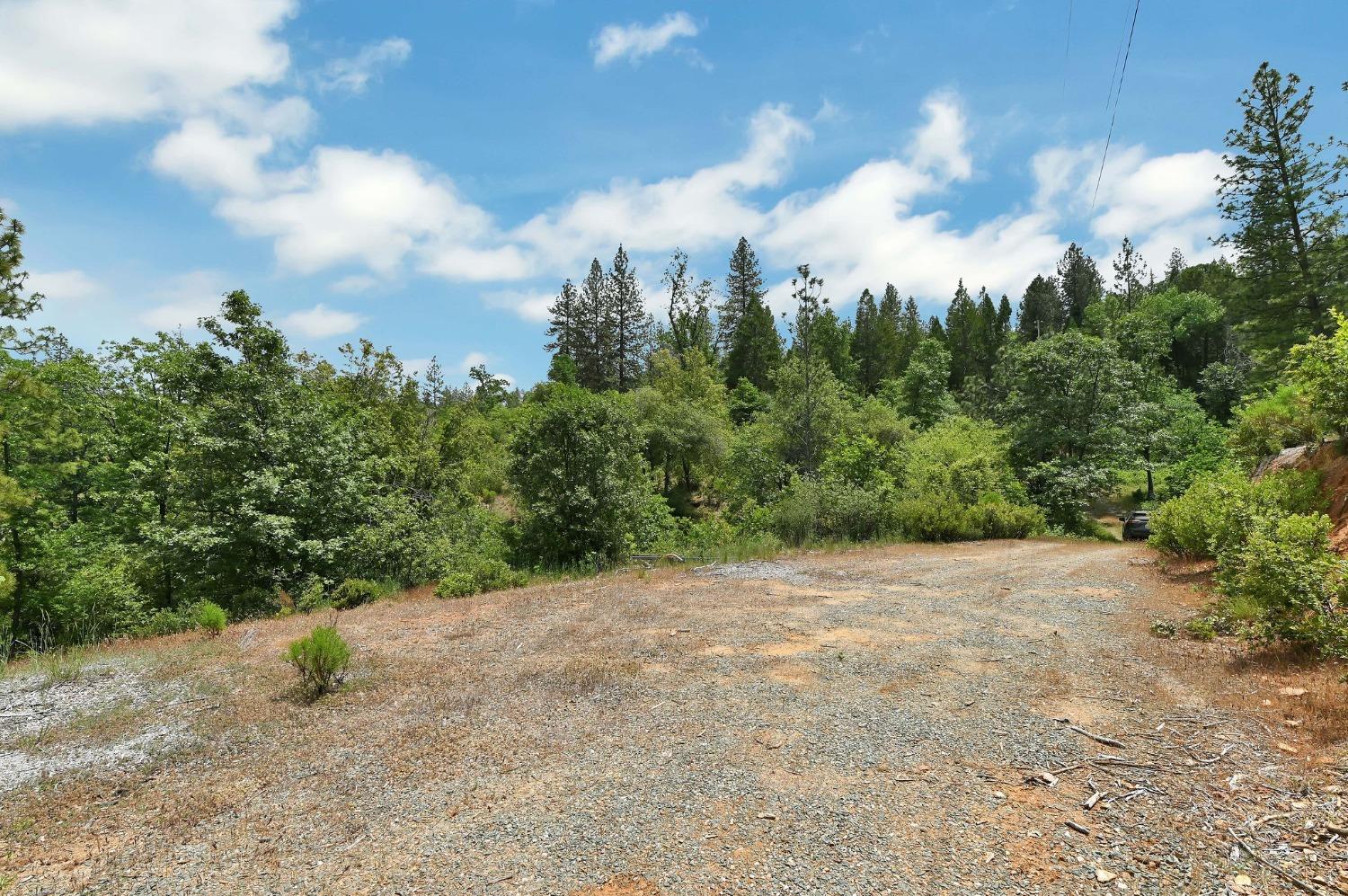 0 Fricot City Rd, Sheep Ranch, California 95246, ,Land,For Sale,Fricot City Rd,202300687